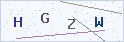 验证码